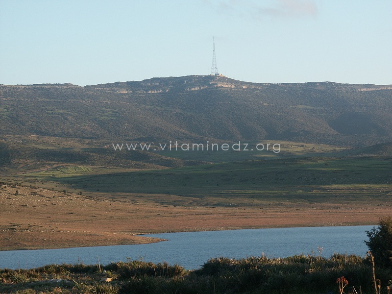 Barrage d'El-Mafrouch (Tlemcen): Image de désolation et risque sanitaire majeur