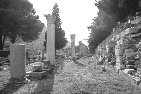 Commune de Thénia (Boumerdès) Des vestiges romains à l’abandon