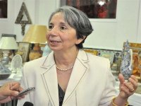 Les institutions européennes des droits de l'homme 