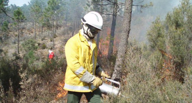 DIRECTION GENERALE DES FORETS : Des forestiers en qualité d'officiers de police judiciaire