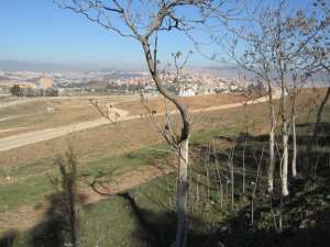 Constantine - Le projet  Parc citadin  de Zouaghi relancé ?