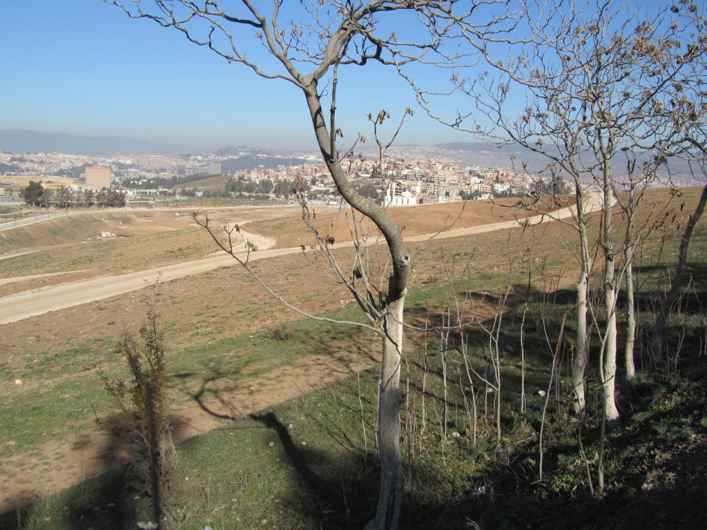 Constantine - Le projet 