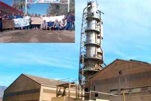 عمال مصنع السكر بعين الدفلى يرفضون غلق الوحدة