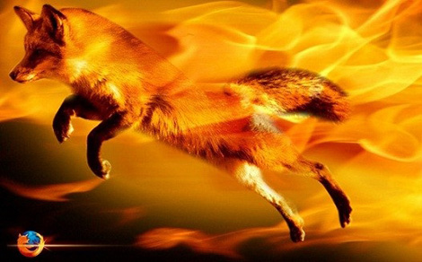 موزيلا تسحب فايرفوكس 16 لوجود ثغرة خطيرة