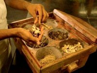 Les spécialistes mettent en garde contre la médication anarchique aux herbes