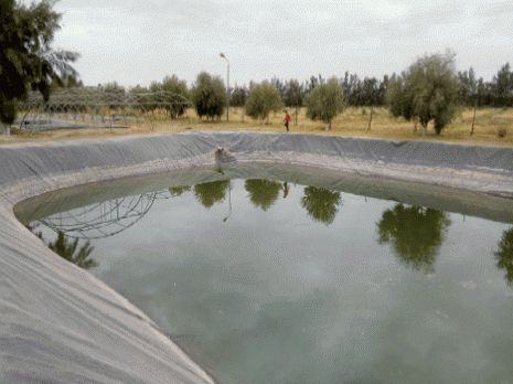 Relizane : Cap sur la pisciculture