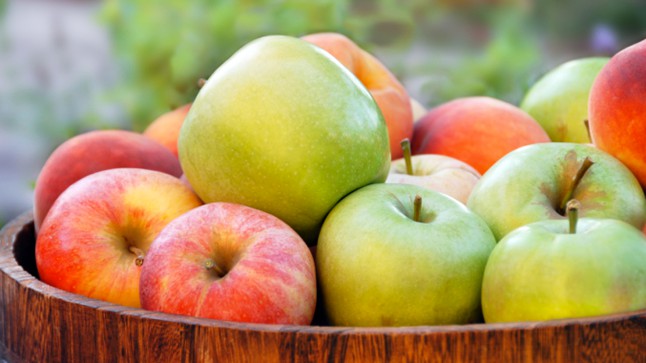 حان وقت القطاف