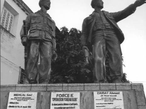 Dans le sillage du Congrès de la Soumam : l'Opération «Oiseau Bleu» ! (1re partie)