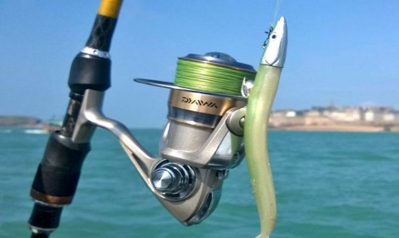 Formation dans le domaine des pêches modernes au profit d'officiers de pays arabes