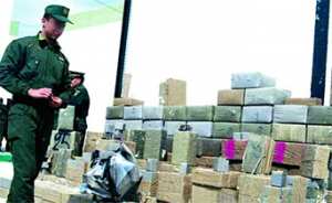 Trafic de stupéfiants: Saisie de 25 tonnes de cannabis en 2016