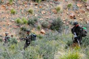 وزارة الدفاع : كشف مخبأ للأسلحة بجيجل