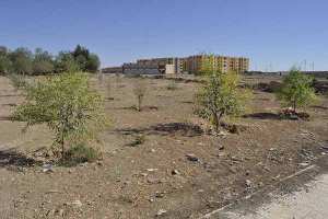 مواطنون يُطالبون بتخصيص أرض لمرافق ومساحة خضراء بالمسيلة