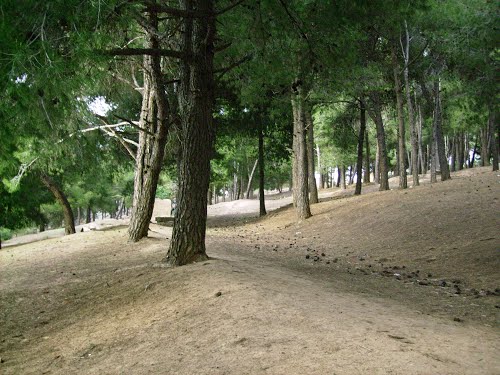 Sidi Abdelli : Création d'une zone touristique