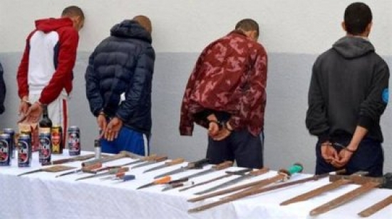 البليدة: الإطاحة بجمعية أشرار ببوفاريك تستعمل أسلحة محظورة لإزعاج السكان