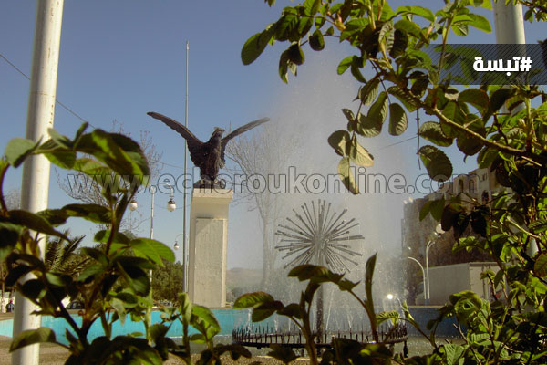 وفاة السيدة التي مكثت خمسة أيام ببالوعة في تبسة