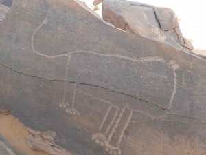 Algérie: Un plan de protection et de sauvegarde des gravures rupestres de Taghit