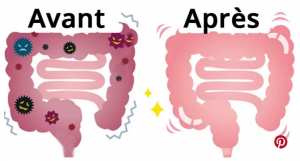 Voici comment dégonfler votre ventre et nettoyer le colon