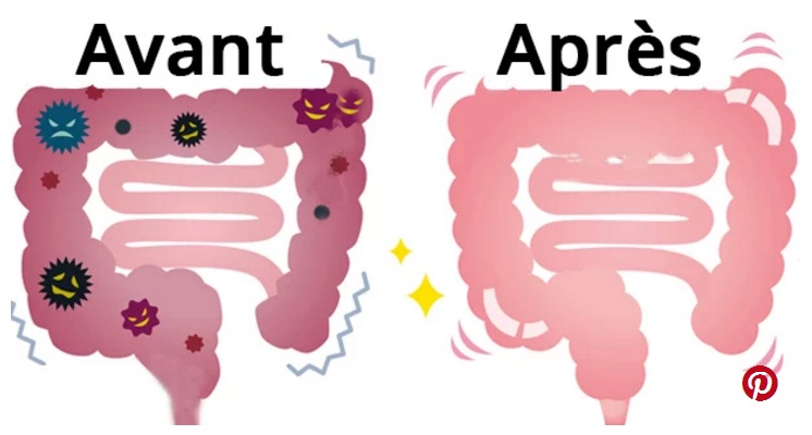 Voici comment dégonfler votre ventre et nettoyer le colon