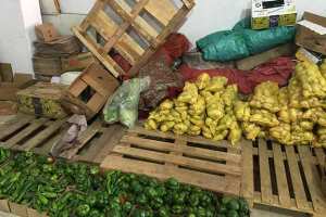 إتلاف خضروات مسقية بالمياه القذرة شمال الأغواط