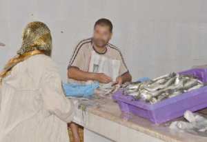 سمك السردين في متناول الجميع ببومرداس