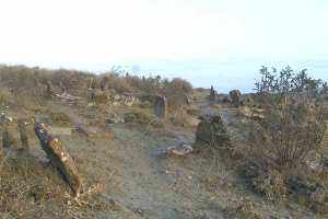 مقبرة الطوال بتافروات.. نموذج لانتهاك حرمة الموتى بالمدية