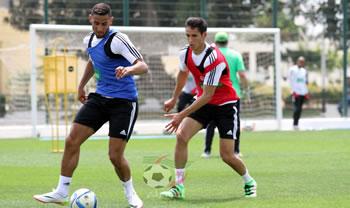 Les Verts à deux visages