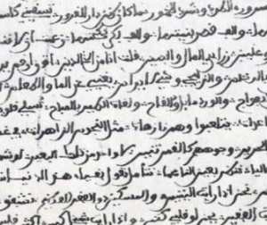 العثور على 168 قصيدة موريسكية باللهجة الأندلسية ، اكتشاف يثبت أن الموريسكي لم يفقد ثقافته!