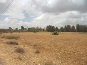 Plus de 20 000 demandes de lots de terrain enregistrées