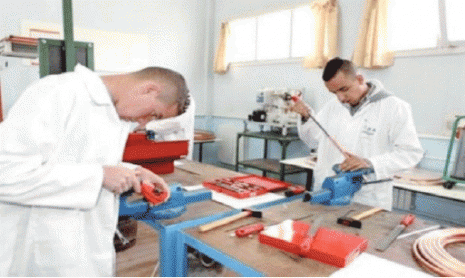 Formation professionnelle : Plus de 8300 nouveaux stagiaires à Oran