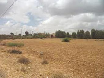 Plus de 20 000 demandes de lots de terrain enregistrées