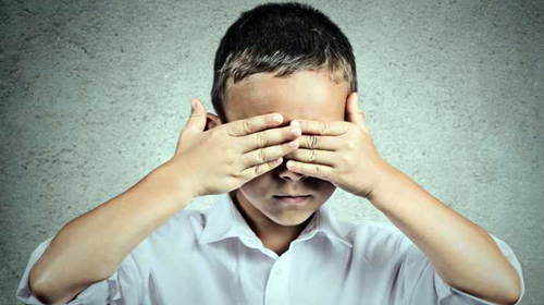 La prise en charge médicale et psycho-éducative de l'autiste en Algérie