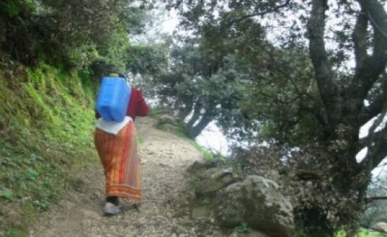 تيزي وزو : تعليمة للامتناع مؤقتا عن شرب مياه المنابع بسبب وجود حالة تيفوئيد مشتبه فيها ببلدية أزفون