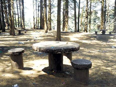 Alger - En l’absence de gardiennage et d’entretien:  Des forêts récemment aménagées livrées à la dégradation