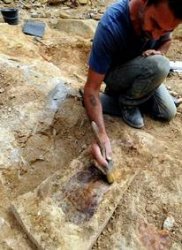 DES FOUILLES ARCHEOLOGIQUES DANS LE SITE DE LA VILLE ROMAINE MINA