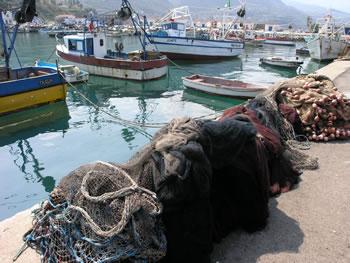 Promesses...et poisson d'automne                                    LE MINISTRE DE LA PÊCHE À ORAN