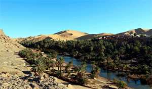 Réhabilitation des oasis et palmeraies à Béchar: Un atout pour le tourisme