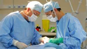 الوادي: تعيين 22 طبيبا أخصائيا بالمؤسسات الاستشفائية خلال 2017