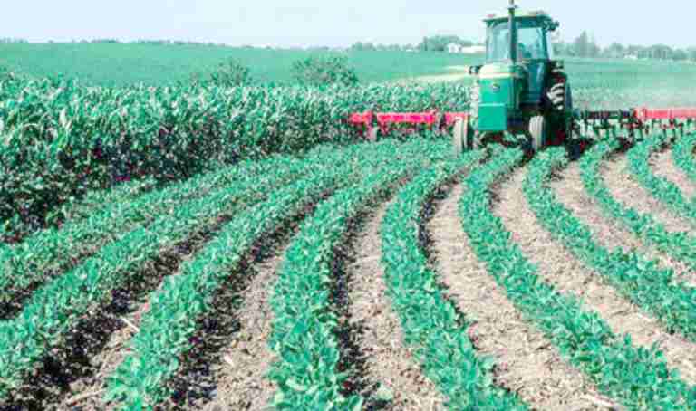 سكيكدة تتحول إلى قطب فلاحي بامتياز