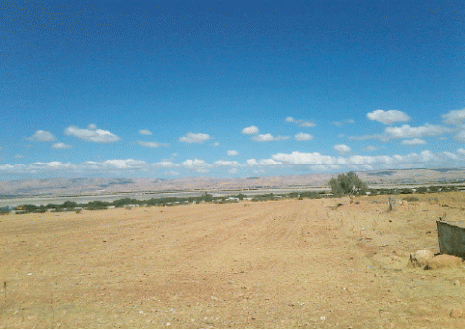 Une étude est nécessaire pour trouver des solutions