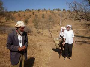 أصول أهل بني وارسوس