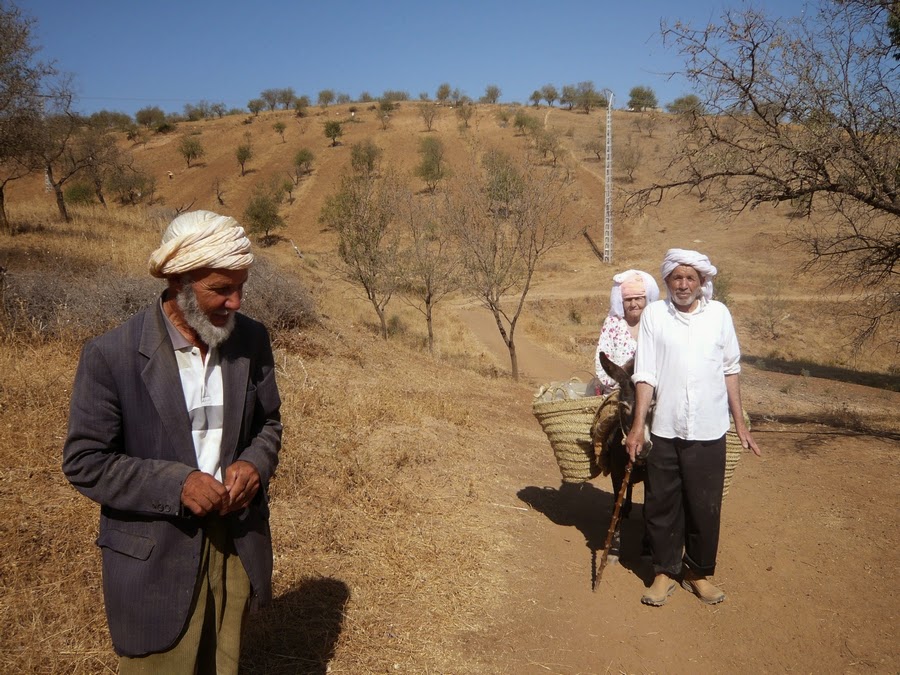 أصول أهل بني وارسوس