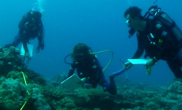 Installation prochaine d'un réseau national pour la surveillance du littoral