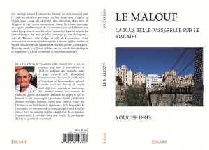 LE MALOUF LA PLS BELLE PASSERELLE SUR LE RHUMEL