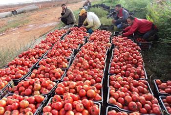 De grandes potentialités qui n'attendent qu'à être exploitées