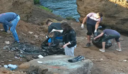 Alger: Un littoral non pollué '