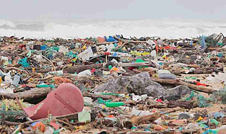 تراجع ب60 بالمائة في النفايات البحرية بالعاصمة