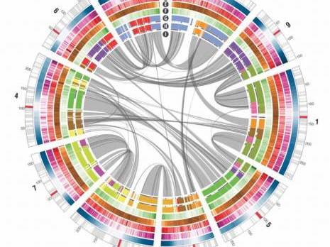 La bioinformatique pour relancer le projet AGSP
