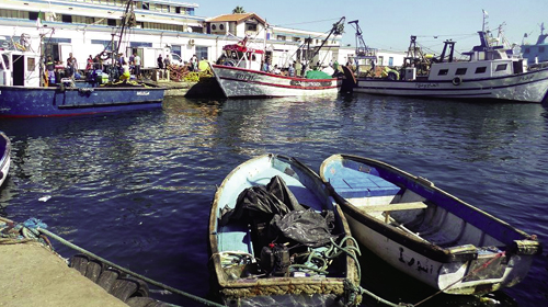 1er Festival national de dégustation des produits aquacoles