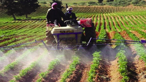 Nécessité d'une stratégie de partenariat avec les opérateurs économiques