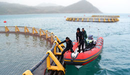 Aquaculture à Chlef : Leader national avec six fermes aquacoles !